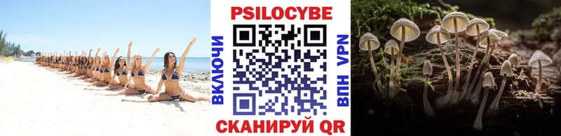 Галлюциногенные грибы Psilocybine cubensis  даркнет сайт  Гремячинск 